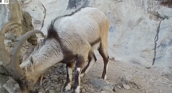 any